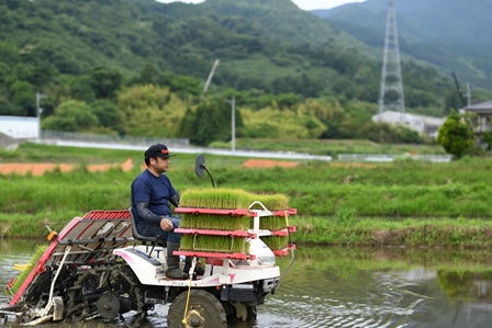 大石啓太米（おおいしけいたまい）：2㎏　名水の地で育まれた「ひのひかり」