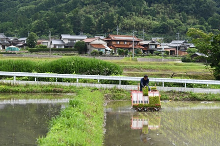 大石啓太米（おおいしけいたまい）：2㎏　名水の地で育まれた「ひのひかり」