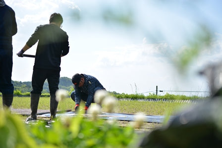 大石啓太米（おおいしけいたまい）：2㎏　名水の地で育まれた「ひのひかり」