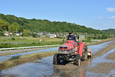 大石啓太米（おおいしけいたまい）：2㎏　名水の地で育まれた「ひのひかり」