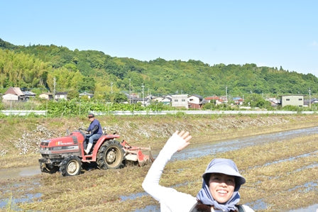 大石啓太米（おおいしけいたまい）：2㎏　名水の地で育まれた「ひのひかり」